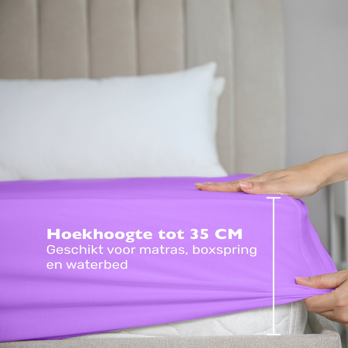 Hoeslaken 160x200 - Katoen jersey - Hoekhoogte 35cm - Elastiek rondom - Paars
